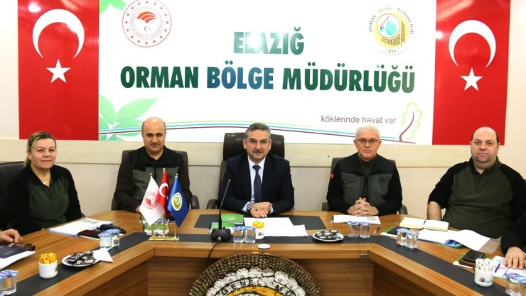 Ormancılık Faaliyetleri Artacak