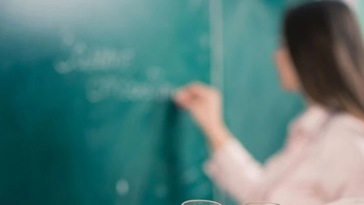 Özel Günde İş Bırakma Eylemi