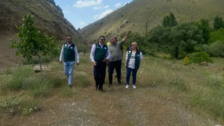 Şamcı Çalışmaları Yerinde İnceledi