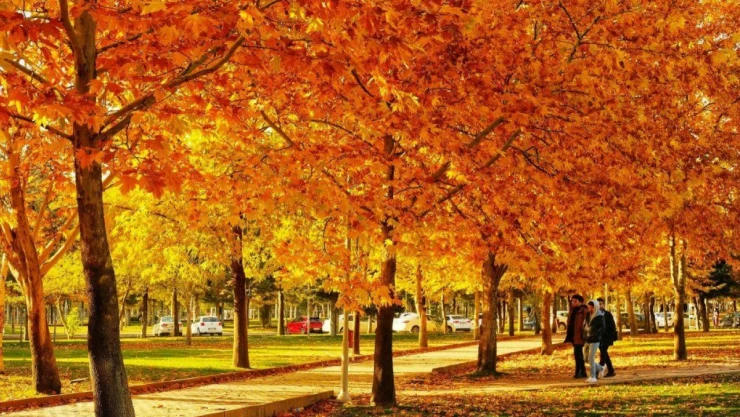 Son 53 Yılın En Sıcak Aralık Ayı!