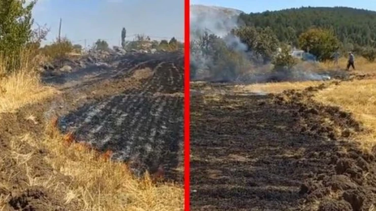Tarla Yangını Ekinlere Zarar Verdi