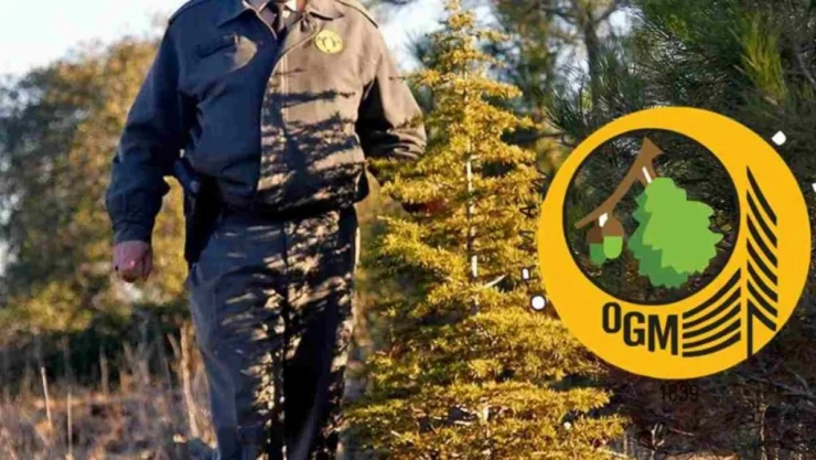 Yeni Personel Alımı Başlıyor