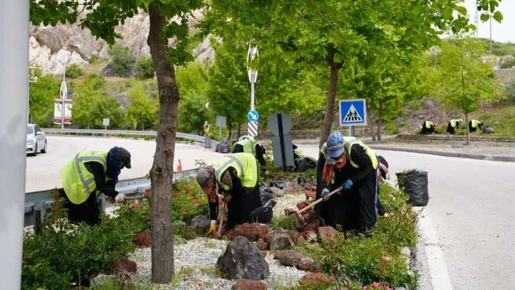 Yeşil Alanlarda Bahar Temizliği