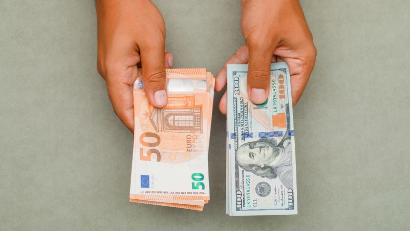24 Kasım Dolar ve Euro Fiyatları