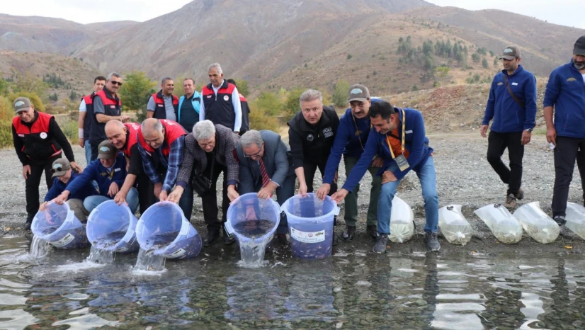 Hazar Gölü'nde Binlerce Balık Doğaya Salındı